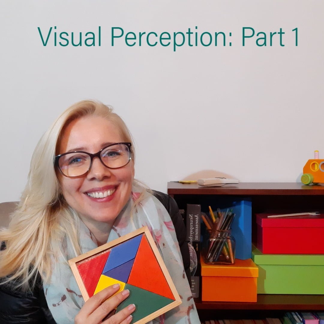 Early Learning Visual Perceptual Skills Part 2