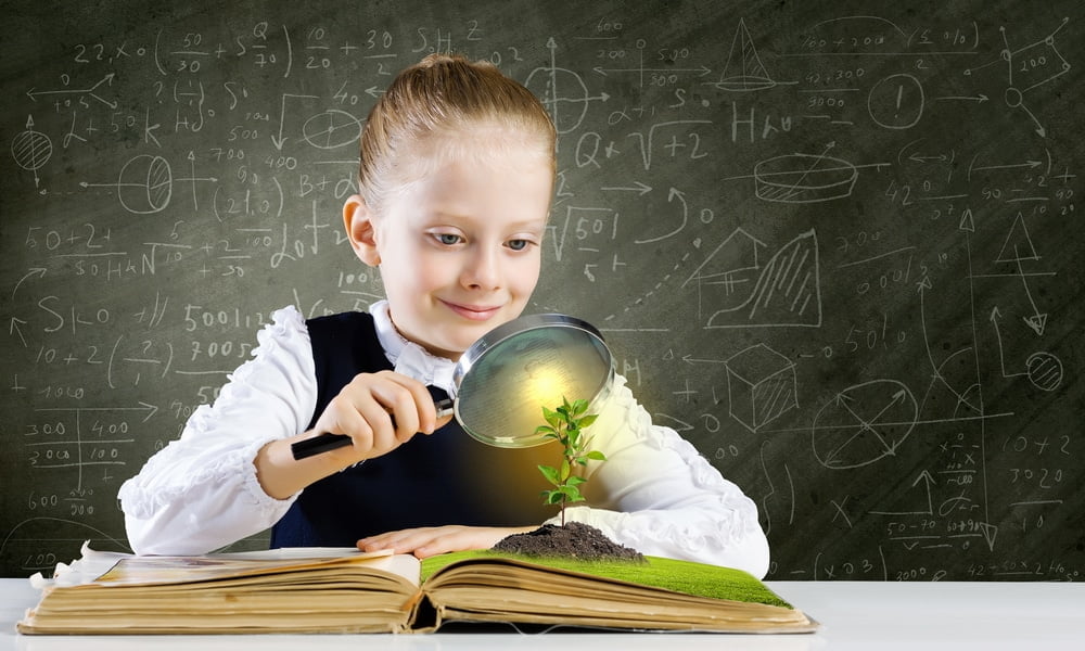 Educational Assessment Why A Child May Need One