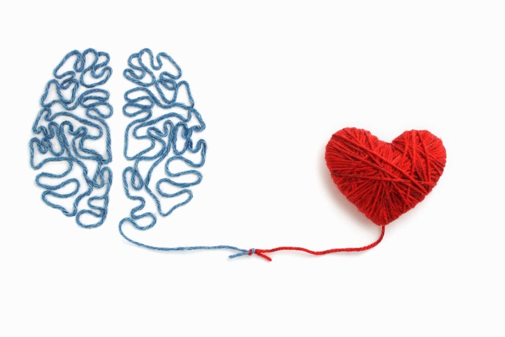 Iq Vs Eq Which One Is More Important