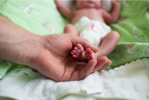 New Research On Premature Birth And Brain Development